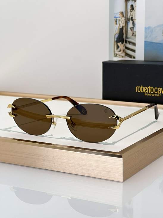 Picture of Roberto Cavalli Sunglasses _SKUfw79280027fw